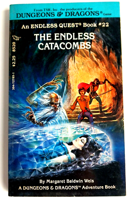 洋書 The Endless Catacombs - D&D End.Quest#22 Rare Endless Quest #22: The Endless Catacombs CYOA D&D RPG