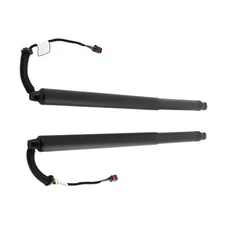 Pair LH RH Power Lift Cylinder Struts for Nissan Murano 3.5L 905615AA1A 15-19