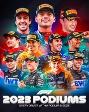 F1 RACING CHAMPIONS DRIVERS  TEAM POSTER, BIG 420mm,BARGAIN,FORMULA 1 GRAND PRIX