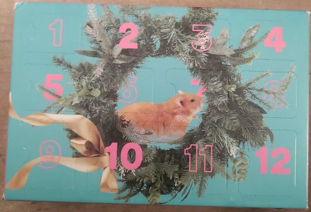 Merry Makings 12 Days Of Thrills Hamster/Gerbil/Mouse/Rat Advent Calendar  Petco | eBay