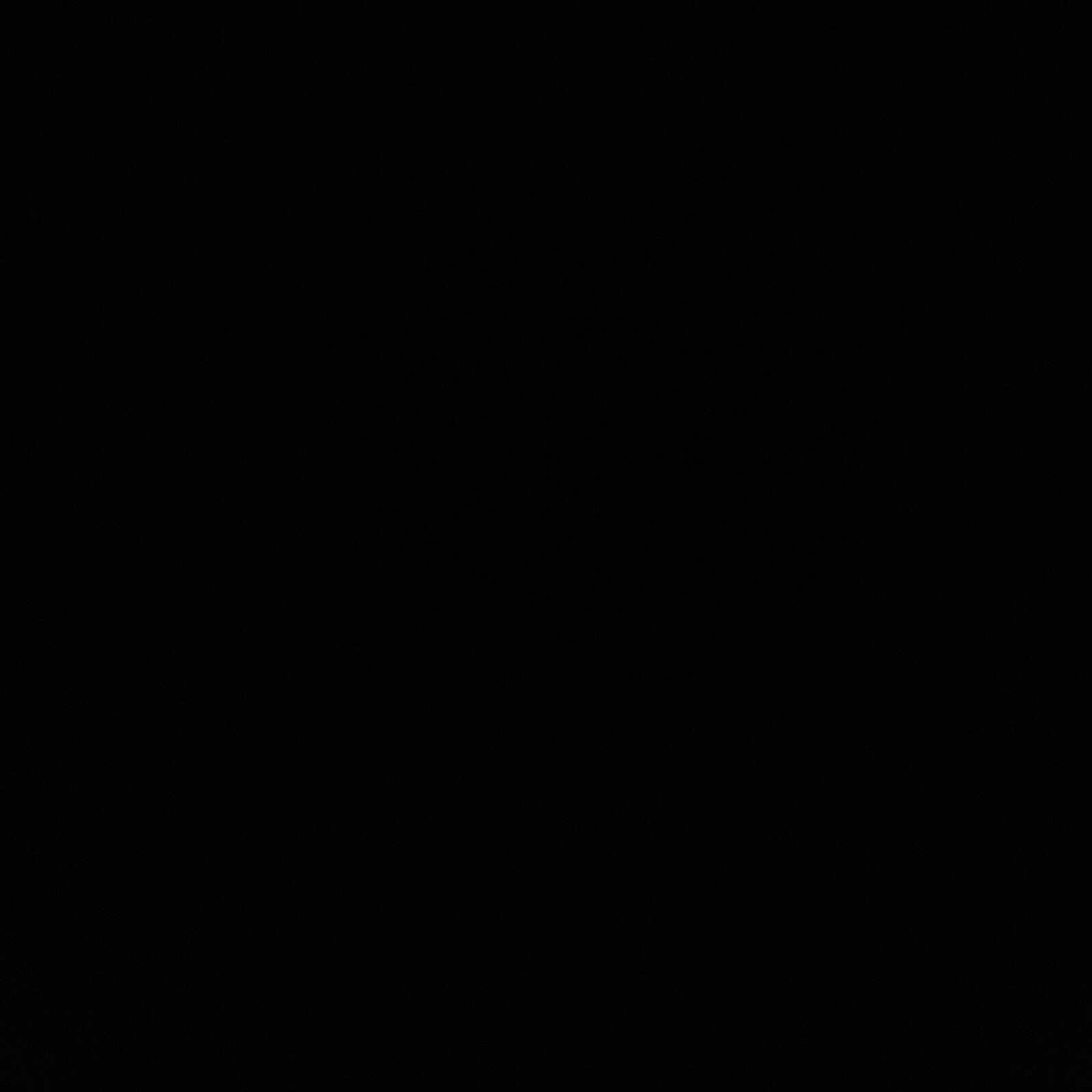 Picture 6 of 11
