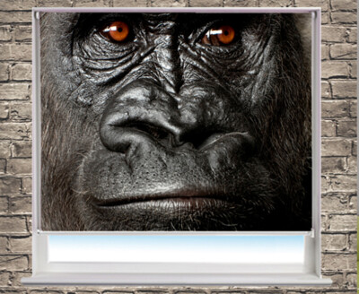 Der Silberrücken-Gorilla Nahaufnahme Bild Fenster Foto Rollo