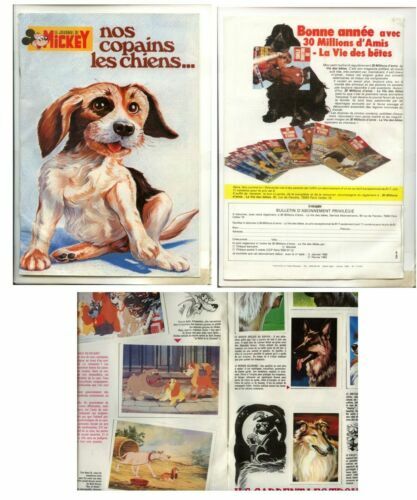 Plaque Déco Chien De Mauvaise Humeur En Aluminium Humour