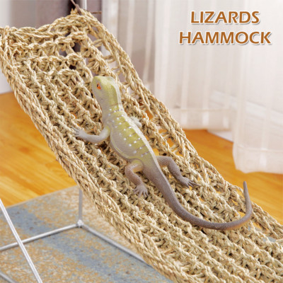 lizard tank accessories