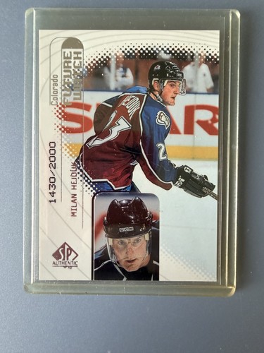 Milan Hejduk #95 card