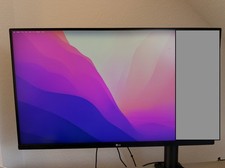 LG UltraFine Ergo 31,5 Zoll Ultra HD LED Monitor - Mattschwarz