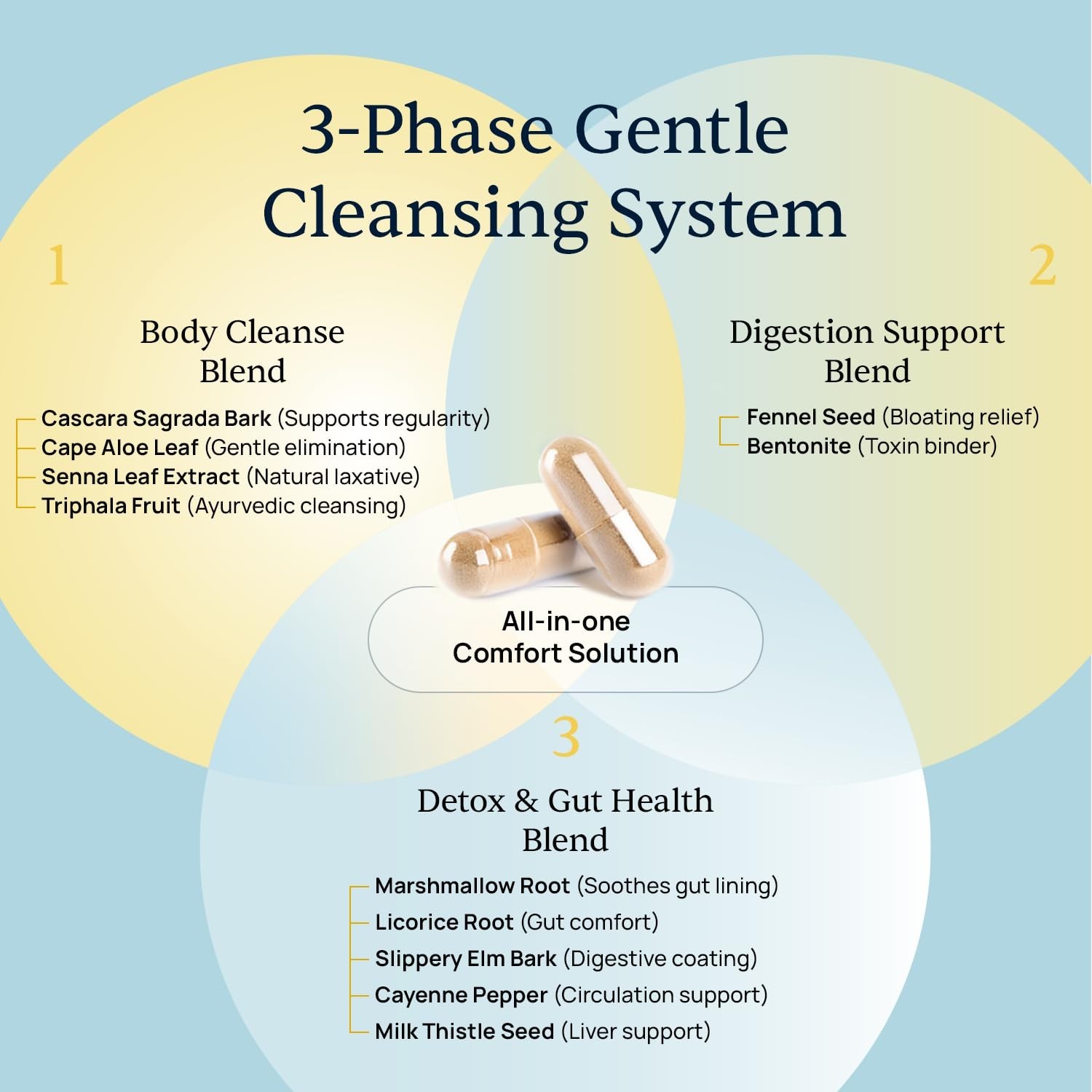 Simple Promise BellyFlush - Detox and Colon Cleanse Supplement - Milk Thistle...