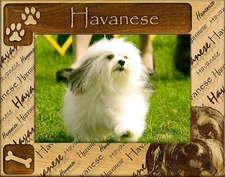 Havanese Laser Engraved Wood Picture Frame Landscape (4 x 6) 