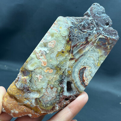 286G Natural Crazy Banded Lace Agate Crystal Polished Slice