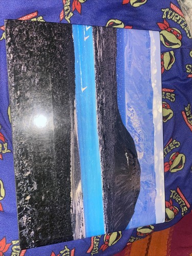 Jean-Claude & Gilles Nourault: Djibouti, Terre des extremes/Graphic Internationa - Imagen 2 de 4