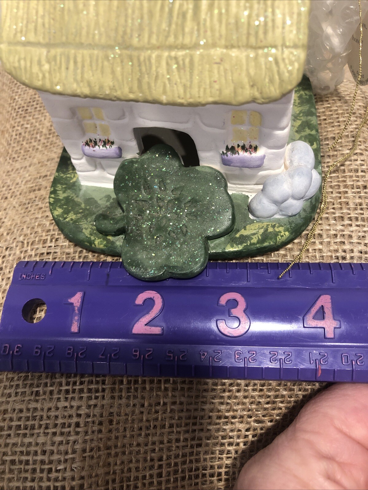 Picture 12 of 13