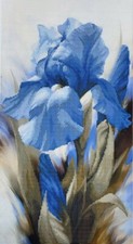 Flower Iris Bead Embroidery Scheme on Canvas DIY Stamped Printed Pattern zpk-014