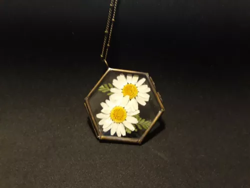Daisy Pendant Real Dry Pressed Wildflower Real Daisies Pendant Daisy Necklace
