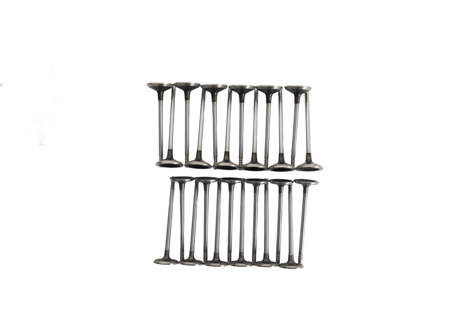 Kit de reconstrucción de motor con bomba de distribución árbol de levas basculante apto para Ford Expedition 5.4L 04-14 Foto 4 de 4