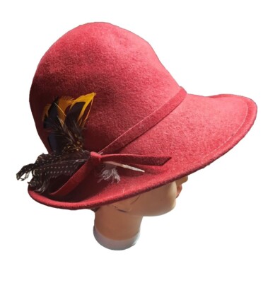 Feathers wool felt Bollman Doeskin hat Doeskin for Bollman Hat - Beigebrown Wool/silk Feather-trim  main image 2