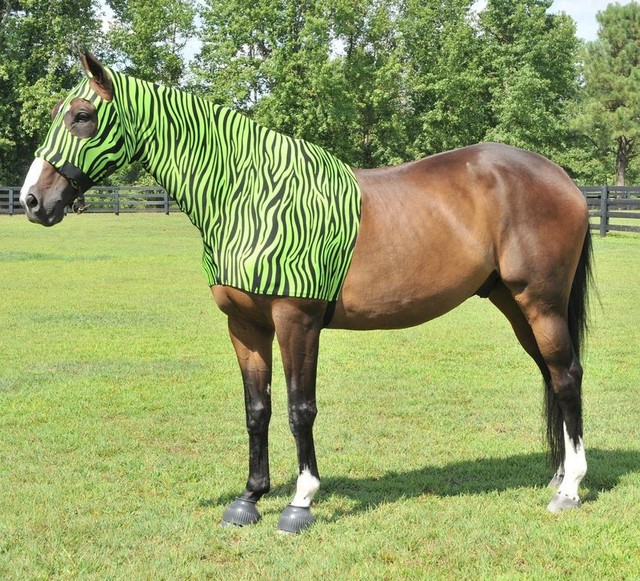 Horse Mane Tamer Slinky Lycra Zippered Hood Braid + Shoulder Guard All