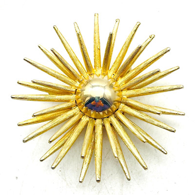 Aster Flower Brooch Gold Tone Spiky Nature Botanical Garden Floral