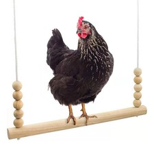 Parrot Perch Chicken Swing Hanging Bird Toy