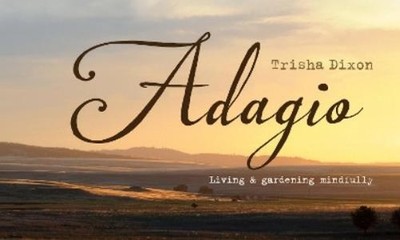 Trisha Dixon Adagio (Gebundene Ausgabe)