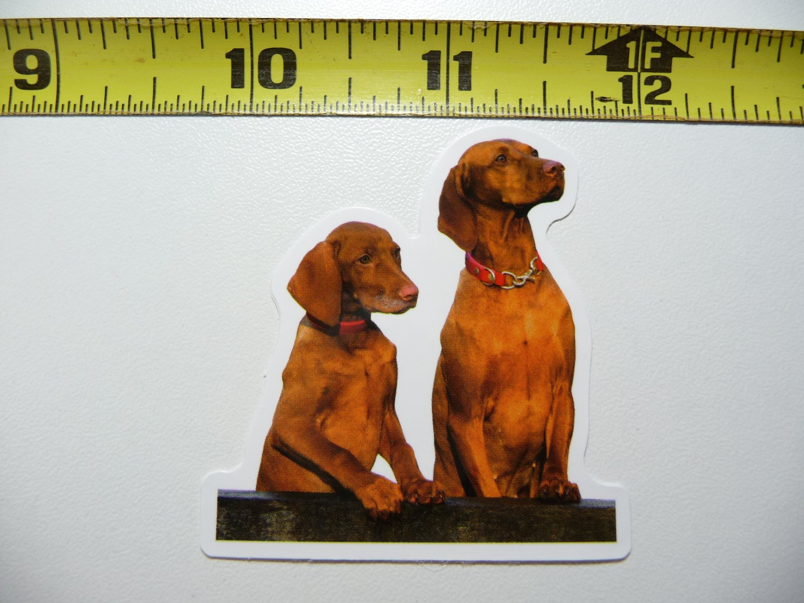 Funny Vizsla Dog Attention Pet Play Furball Decal Sticker