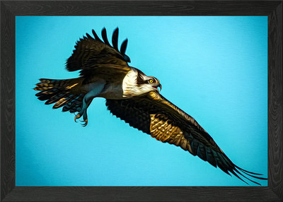 Adler gerahmtes Wandbild Poster Leinwanddruck Bild