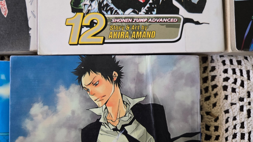 Katekyo Hitman Reborn Manga Set Bände. 1-2, 5-16 (Englisch) - Selten OOP Rarität - Bild 10 von 12