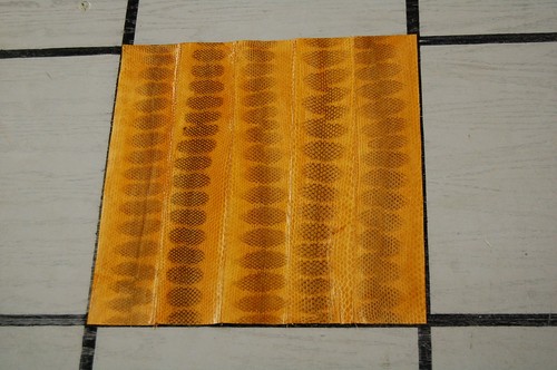 10 = 12X12 Original hellbraune Schlangenhaut Versteck Gelenke Leder M63NMJ - Bild 8 von 12