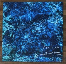 Ichiko Aoba Luminescent Creatures Vinyl SIGNED COVER Beckett BAS COA Autograph