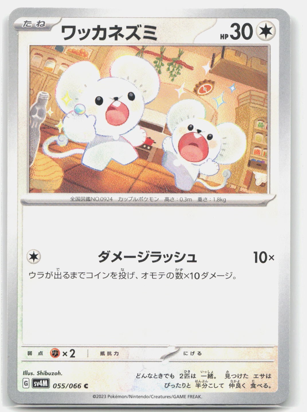 Tandemaus 055/066 C Normal  Future Flash Pokemon Japanese LP