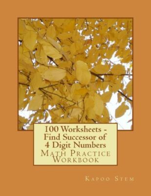 100 Worksheets - Find Successor Of 4 Digit Numbers: Math Practice Workbook