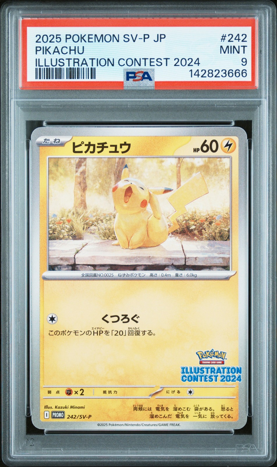 2025 POKEMON JAPANESE SV-P PROMO ILLUSTRATION CONTEST 2024 #242 PIKACHU PSA 9