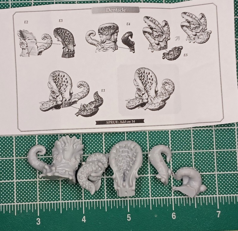 Dungeons & Lasers Woodhaven Stretch Goals 28mm Denticle Tentacle Monster Teeth