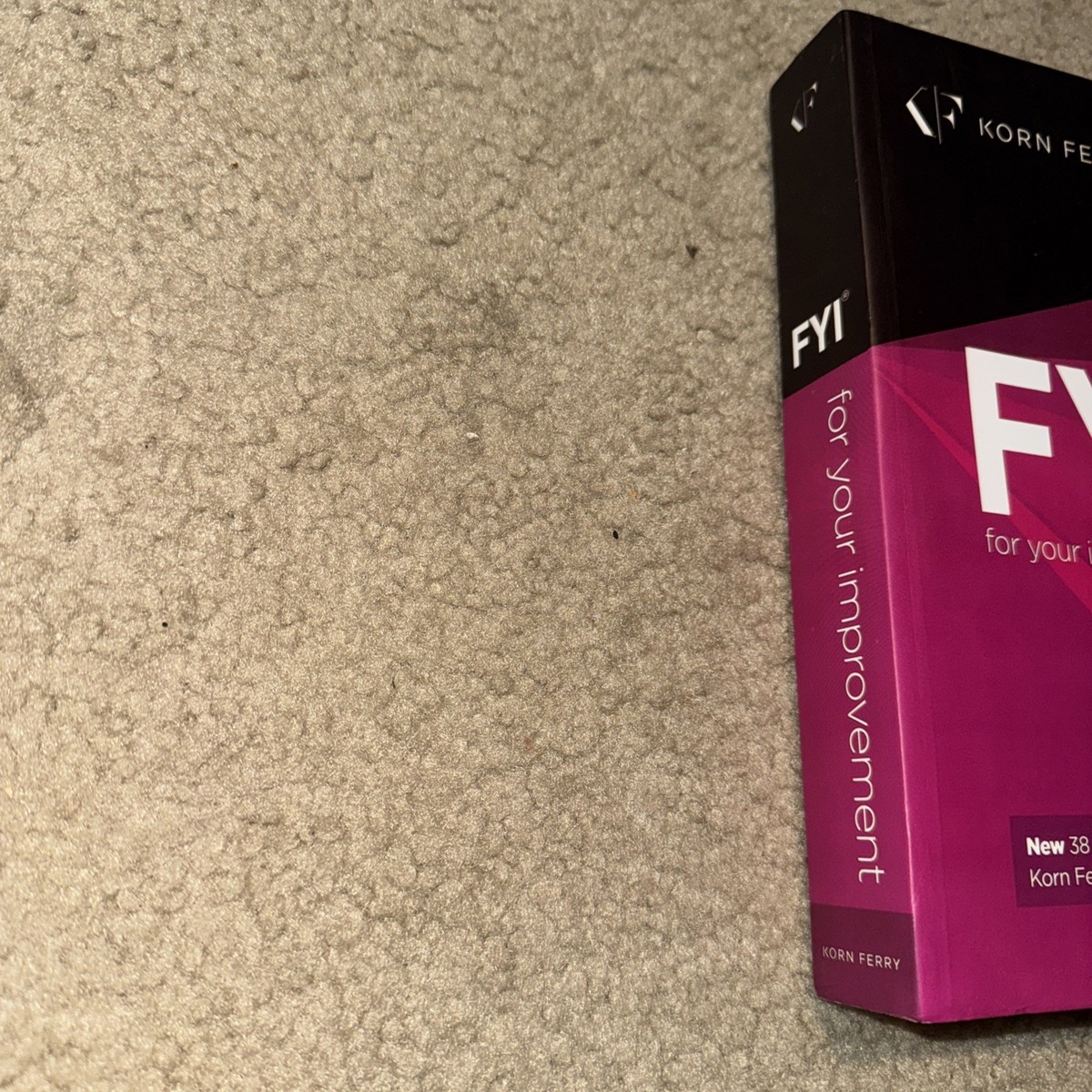 FYI For Your Improvement Competencies Development Guide Korn Ferry