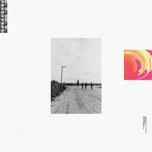 CARACARA NEW PREOCCUPATIONS (PINK COLOUR) (Vinyl LP)