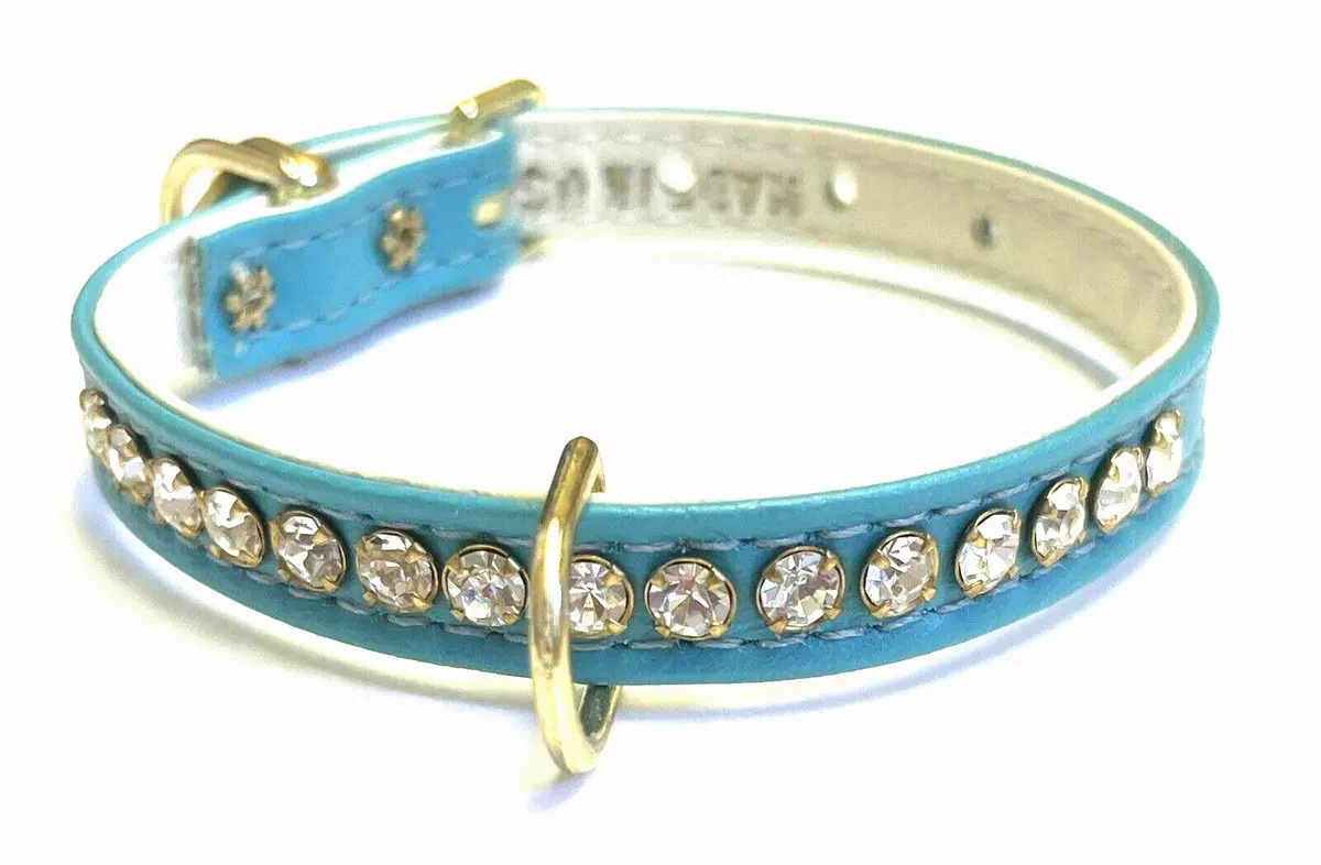 Tiffany blue collar top