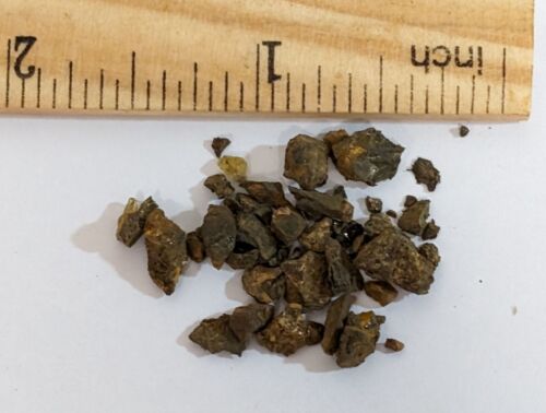 Two Grams Weathered Scraps ADMIRE PALLASITE Meteorite from ILLINOIS USA (#F6043)