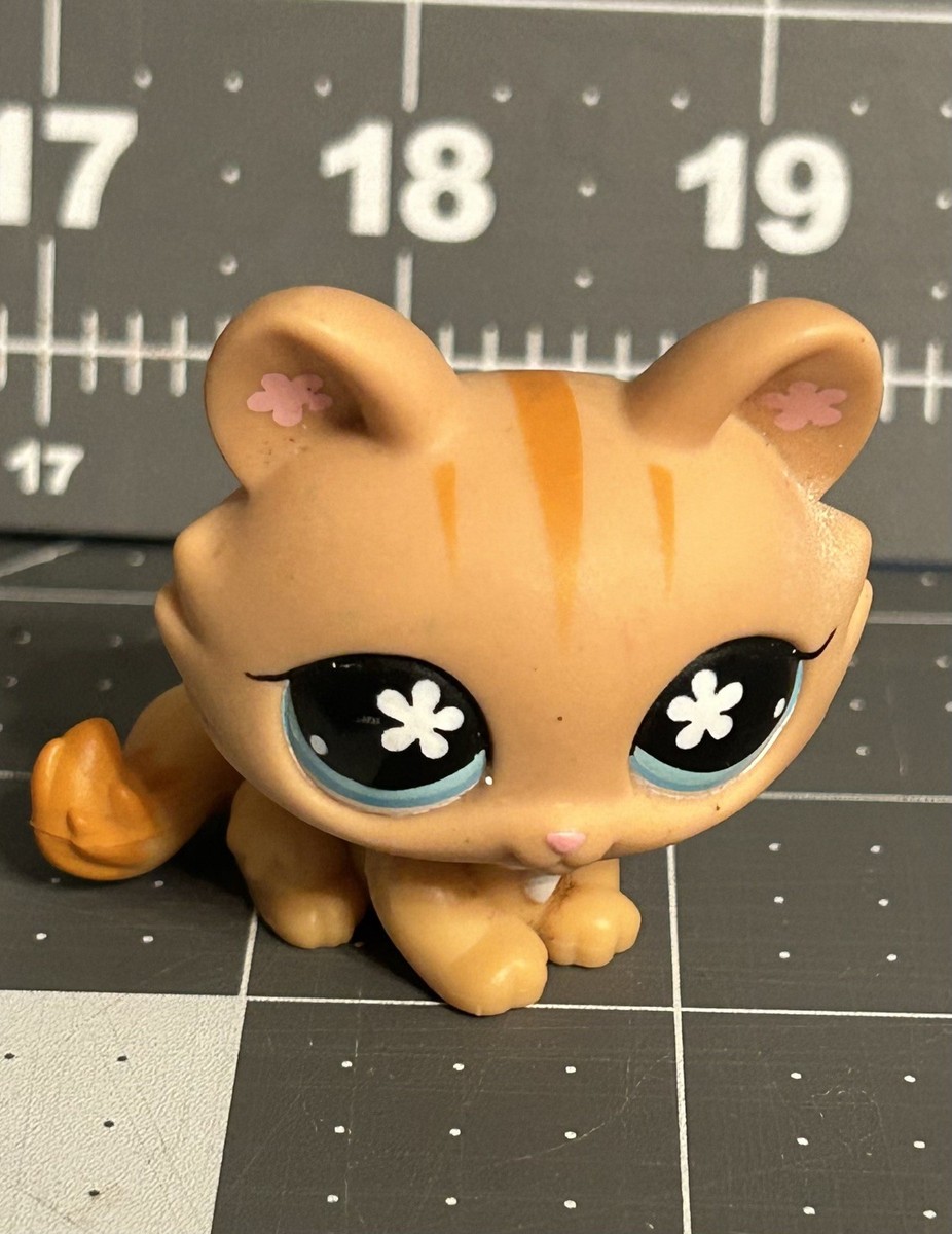 Littlest Pet Shop Crouching Kitten Cat Orange Striped #649 Teal