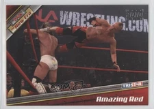 2010 TRISTAR TNA The New Era Silver 13/30 Amazing Red #36 9cf