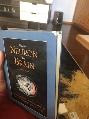 From Neuron to Brain: A Cellular and Molecular Approach to the Function of the,