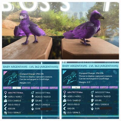 ARK ASCENDED PVE OFICIAL PAIR BABY ARGY ID207 SOLID HIGH STATUS  PS5/PC/XBOX