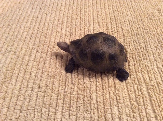 schleich tortoise