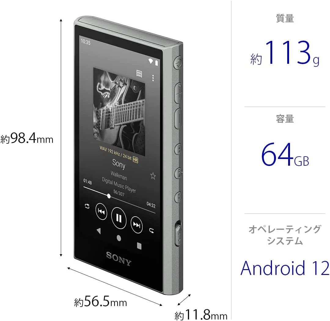 Sony Walkman NW-A307 64GB Gray Portable MP3 Player High Resolution