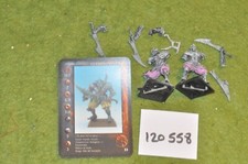 28mm fantasy / rackham - guerrero keratis 2 confrontation RAGNAROK - (120558)