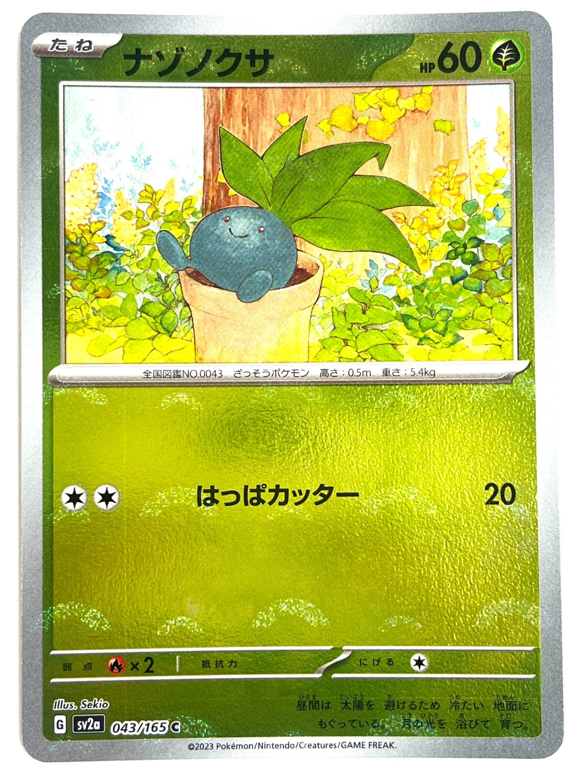Pokemon Card Oddish (Reverse Holo) C 043/165 SV2a JAPAN EDITION eBay