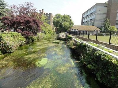 Photo A3 Dover, River Dour Dover/TR3141 Dover, River Dour seen from foo c2011