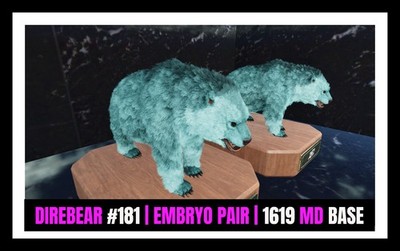 ARK Survival Ascended PvE Dire Bear #181 TOP 1619 MD base PC/XBOX/PS5 ASA