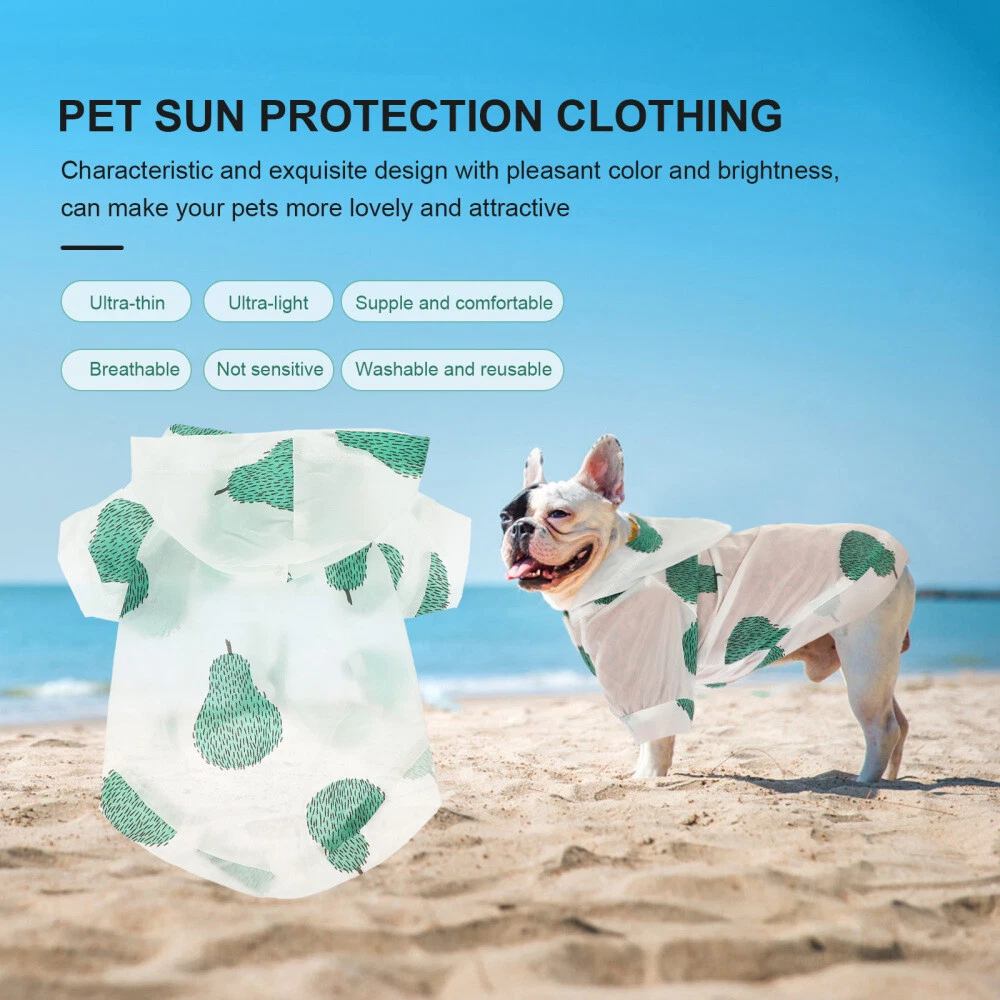 Dog sun protection clothing 2025