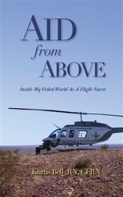Hilfe von oben: Inside My Veiled World als Flugkrankenschwester, brandneu, kostenlose P&P...