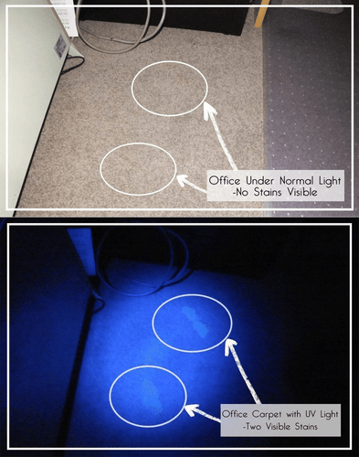 Linterna UV 9LED Ultra Violeta Mini Táctica Luz Negra Antorcha 395NM - Imagen 7 de 11