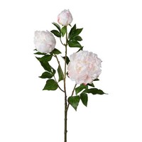 artplants Deko Zweig Pfingstrose Crunt, Weiß, 85Cm